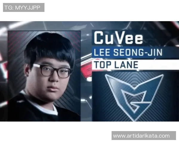 刘磊独家揭秘英雄联盟游戏策略与技巧分享助你提升实力