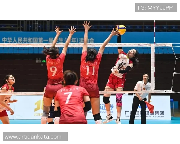 陈芳专访：从少年梦想到篮球巅峰的奋斗历程回顾