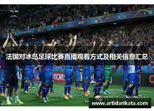 法国对冰岛足球比赛直播观看方式及相关信息汇总